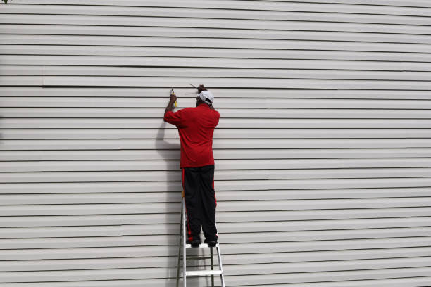 Best Insulated Siding Installation  in Pocatello, ID