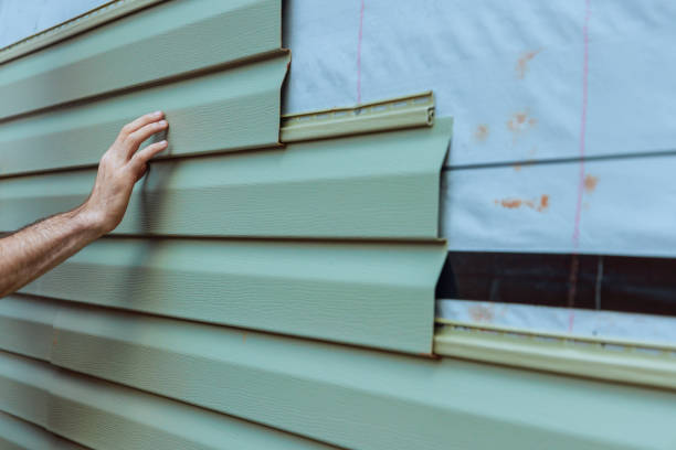 Best Siding Painting and Refinishing  in Pocatello, ID