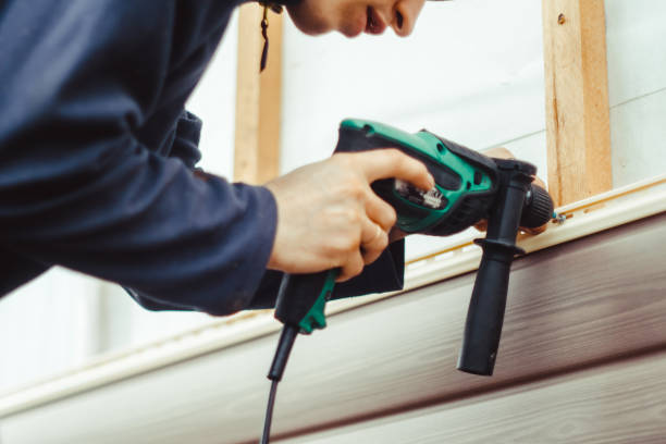 Best Historical Building Siding Restoration  in Pocatello, ID